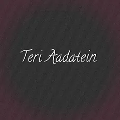 Teri Aadatein